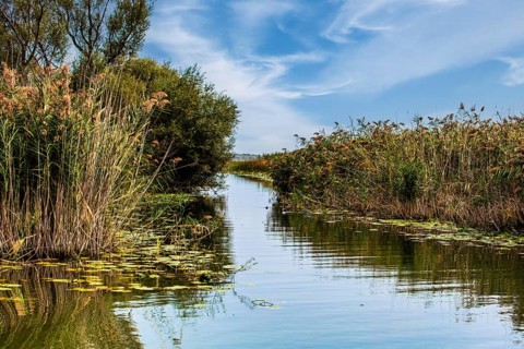 Natural paradise and national park Lake Scutari, the largest lake on the Balkan Peninsula between