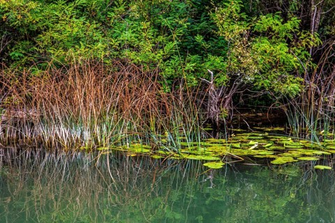 Natural paradise and national park Lake Scutari, the largest lake on the Balkan Peninsula between