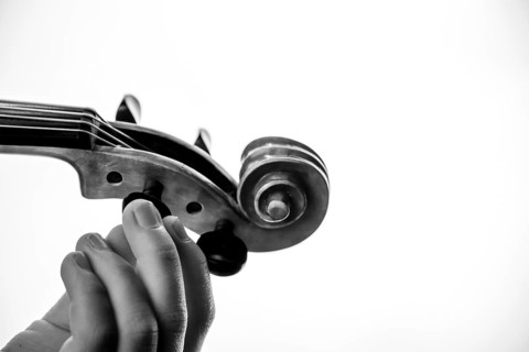 Child's hand tuning viola, black and white photo, studio shot, white background, Germany, Europe