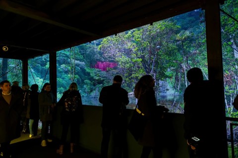 AMAZONIA - The Fascination of the Tropical Rainforest is a monumental work by Yadegar Asisi about