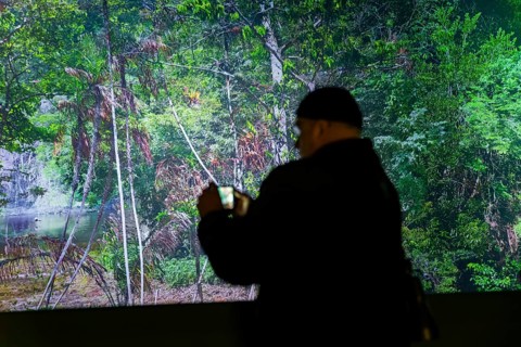 AMAZONIA - The Fascination of the Tropical Rainforest is a monumental work by Yadegar Asisi about