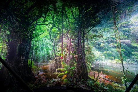 AMAZONIA - The Fascination of the Tropical Rainforest is a monumental work by Yadegar Asisi about