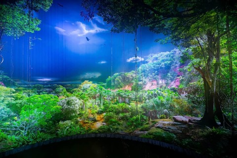 AMAZONIA - The Fascination of the Tropical Rainforest is a monumental work by Yadegar Asisi about