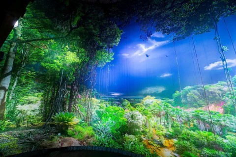AMAZONIA - The Fascination of the Tropical Rainforest is a monumental work by Yadegar Asisi about