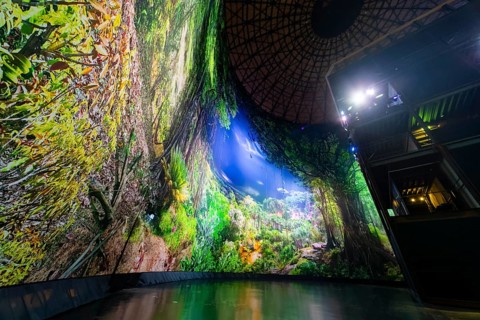 AMAZONIA - The Fascination of the Tropical Rainforest is a monumental work by Yadegar Asisi about