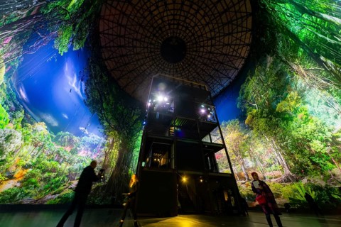 AMAZONIA - The Fascination of the Tropical Rainforest is a monumental work by Yadegar Asisi about