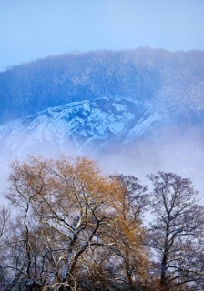 Snow-covered Wartenberg with fog in winter, Witten, Ruhr area, North Rhine-Westphalia, Germany,