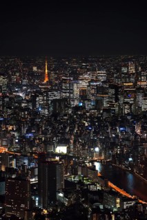 Aerial view over the city Tokyo Metropolis with its high rise, buildings, skyscrapers, Sumida River