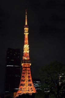 Tokyo Tower illuminated at night, communications and observation tower in the Shiba-koen district