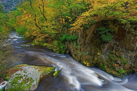 River Bode running through forest showing autumn colours, fall colors at Nature reserve Bode Valley