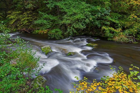 River Bode running through forest showing autumn colours, fall colors at Nature reserve Bode Valley