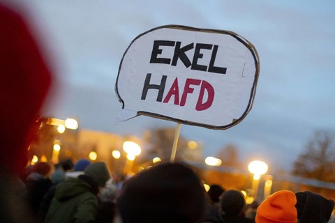 Demonstrators at the demo, Defending democracy, Together against the right, in front of the