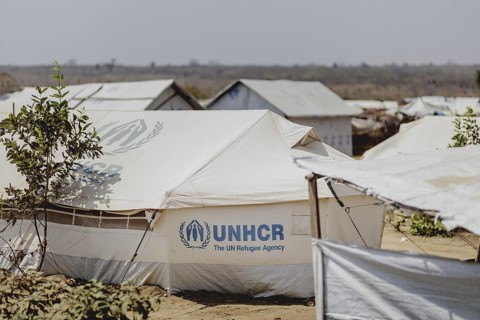 UNHCR tents in the Gorom refugee settlement southwest of Juba, 26 Jan. 2024 / Photographed on