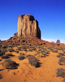 Elephant Butte seen across the desert-floor with thorn-scrub, other buttes in distance, Monument