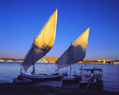 Evening light on the sails of two feluccas on the bank of the Nile opposite Luxor, Egypt Egypt,