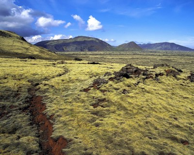 Path through deep yellow-green moss in red volcanic soil, leading towards distant hills, near