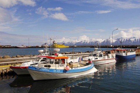 Fishing-boats in the harbour at Dalvik on Eyjafjordur, with the Kaldbakur mountains behind,
