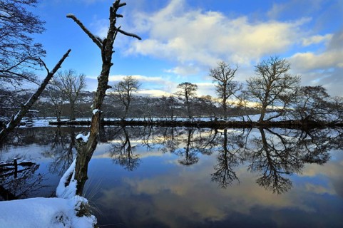 Snow-covered trees lie the banks of the River Lochay with distant sunny hills near Killin,