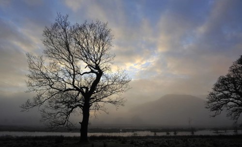 Hazy view of a distant hill as late sun shines through silhouetted trees on a winter afternoon near