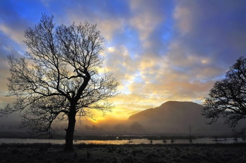 Misty sunset with silhouetted trees and distant hill on a winter afternoon near Killin, Perthshire,