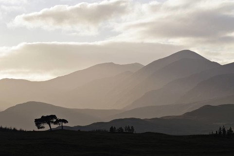 Backlit trees and hill-ridges around the western rim of Rannoch Moor, Scottish Highlands, UK