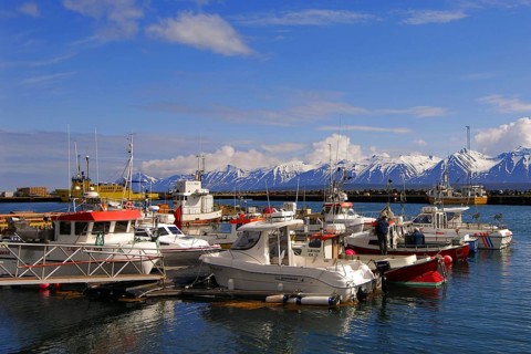 Fishing-boats in the harbour at Dalvik on Eyjafjordur, with the Kaldbakur mountains behind,