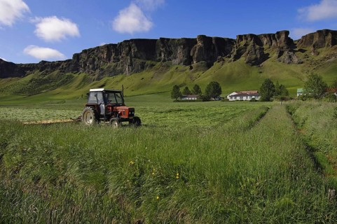 Haymaking at Foss, where the farming township nestles beneath basalt crags, southern Iceland