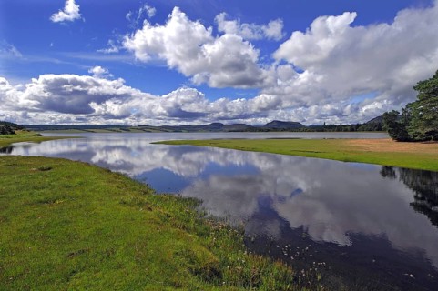 Mirror-like reflections of trees and sky in the still waters of Loch Fleet, east Sutherland, n.e.
