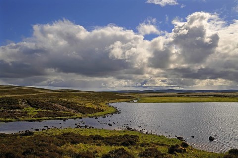 Felsen und Steine am Loch Farley | Exposed rocks and stones at Loch Farlary, near Golspie,
