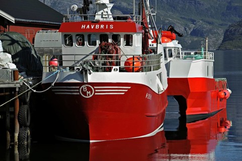 Red boats tied up in harbour at Kilboghamn on Sorfjord, north-west Norway