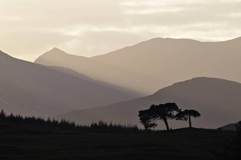 Backlit trees and hill-ridges around the western rim of Rannoch Moor, Scottish Highlands, UK