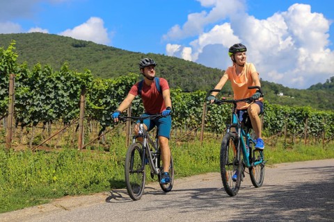 Symbolic image: Young couple on a bike tour in the vineyards, here in the Palatinate near Neustadt