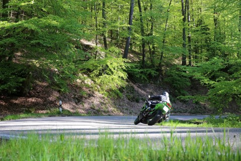 Sporty motorcyclist on a trip into the countryside (Edenkoben Valley, Palatinate Forest)