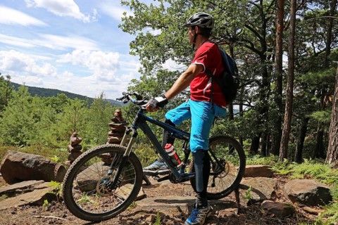Mountain biker enjoys the view of the Palatinate Forest above Neustadt an der Weinstrasse
