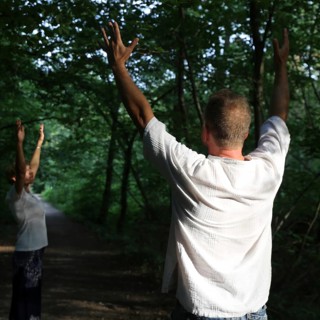 Group forest bathing (Shinrin Yoku), nature therapy from Japan