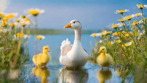 AI generated, animal, animals, bird, birds, biotope, habitat, one, individual, foraging, wildlife,