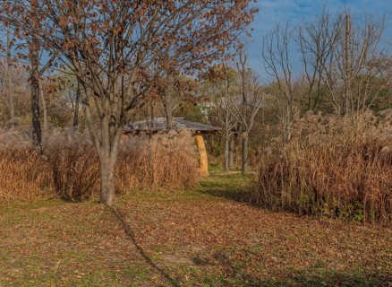 Walking path through autumn landscape of leafless trees growing in field of feather grass hiding