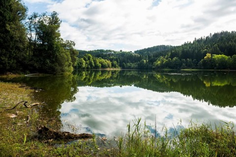 Albstausee, St. Blasien, Black Forest, Baden-Wuerttemberg, Germany, Europe