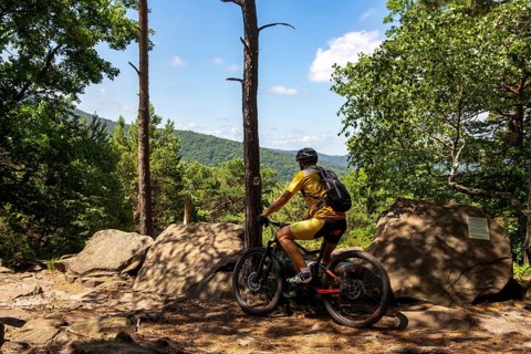 Mountain biker takes a break at the summit of the Nollenkopf near Neustadt in the Palatinate Forest