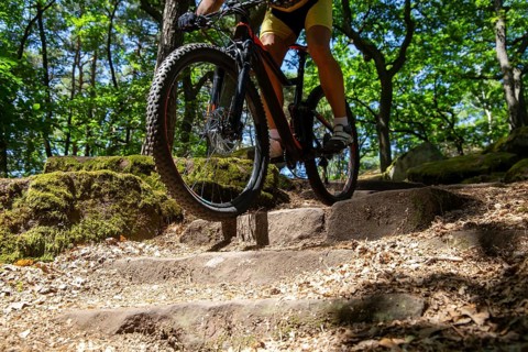 Mountain biker riding a difficult single trail with several steps