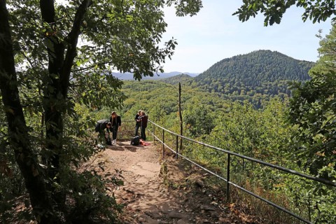 Group of hikers on the Annweiler Castle Trail in the Palatinate Forest
