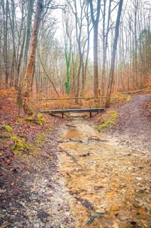 Small old wooden bridge over a stream in the Rautal valley in the forest, Jena, Thuringia, Germany,