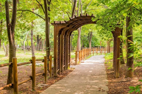Wooden archway over sidewalk in urban public park in South Korea