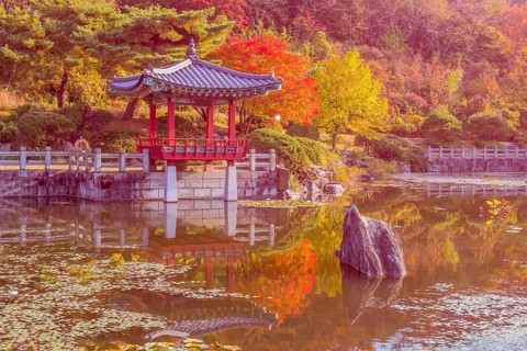 Oriental gazebo with terracotta tile roof at edge of man made pond in local public park in South