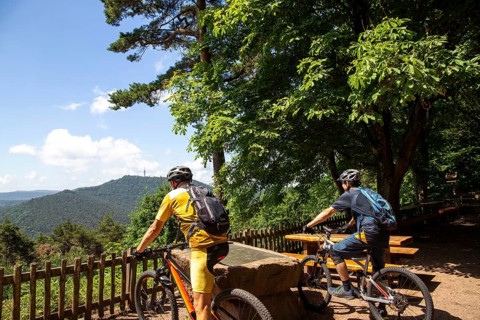 Mountain bikers take a break at the summit of the Hohe Loog near Neustadt in the Palatinate Forest