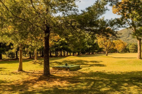 Green, rectangle underground maintenance access point shaded by evergreen trees in public park on