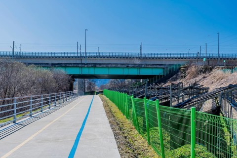 Crop of ginseng behind green fence next to concrete walking and bicycling path with bridge in