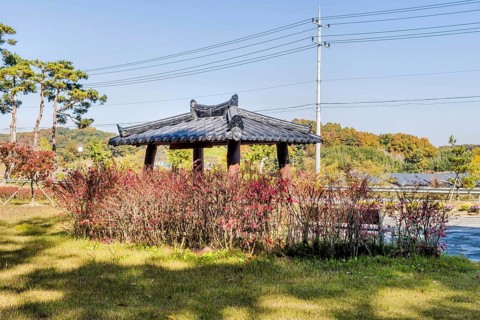 Pavilion in roadside park behind hedge with red autumn leaves in South Korea