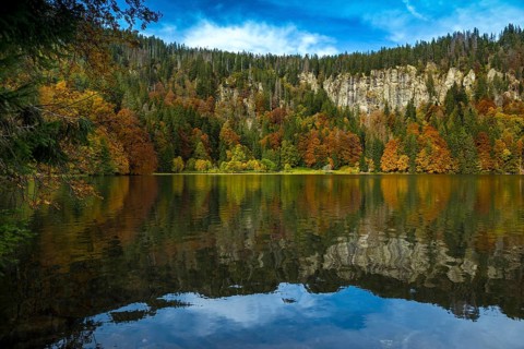 Lake and autumnal coloured forest, Feldsee, Feldberg, Black Forest, Baden-Wuerttemberg, Germany,