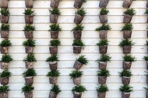 Many flower pots with artificial green plants in rows, dull wooden privacy screen, fence,